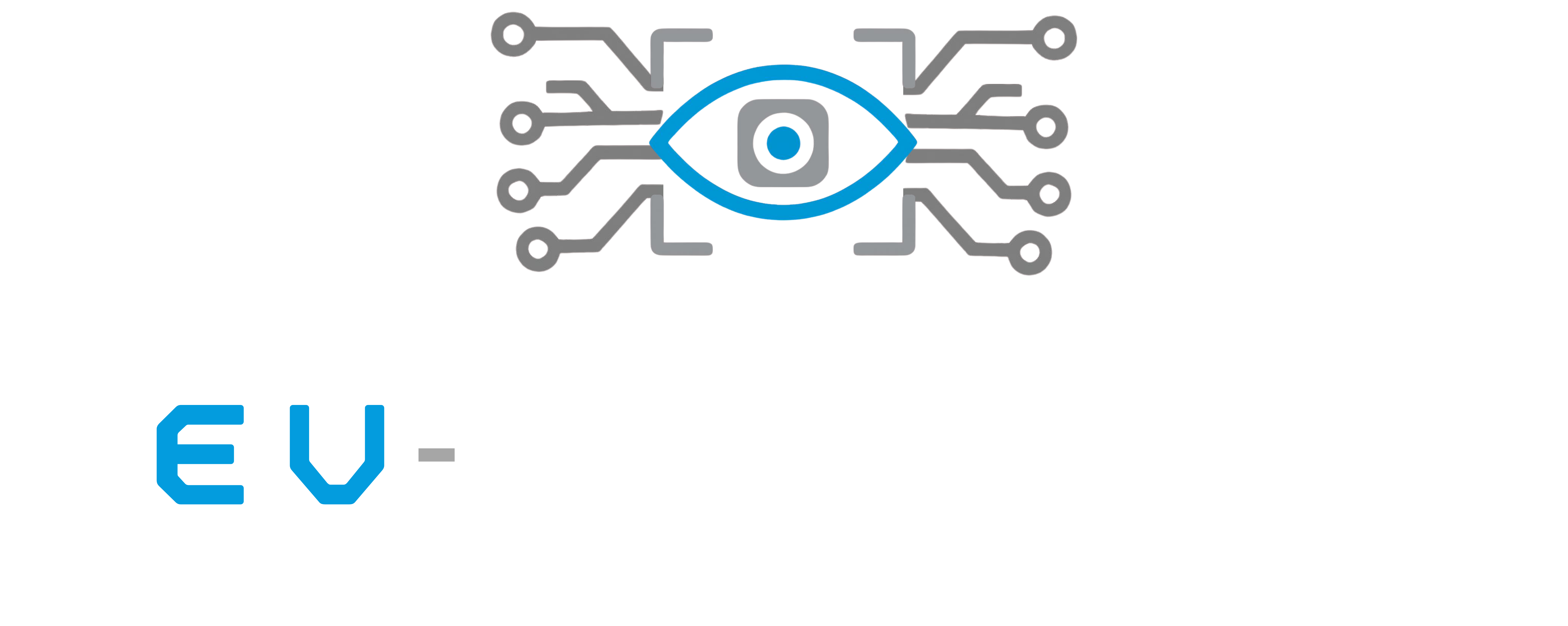 Ev-sion Inc.